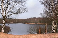 siepelveen