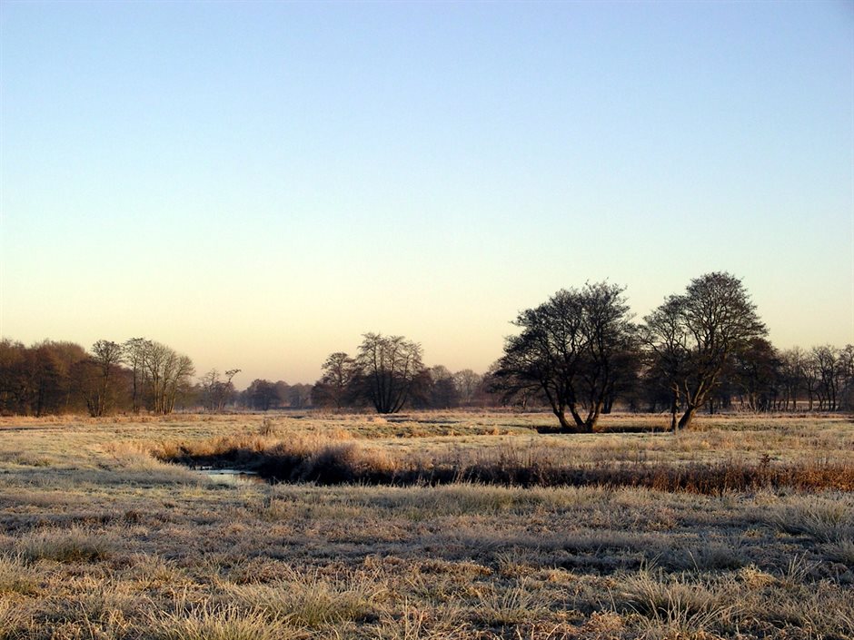 winterlandschap