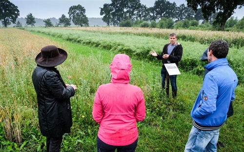Jan Reinder Smeenge geeft tijdens de eerste (regenachtige) excursie tekst en uitleg bij de proefakkers. Foto Jan Willem van Vliet