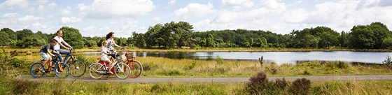 Foto van fietsende mensen in een landschap