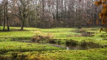 Zeegserloopje © André Brasse