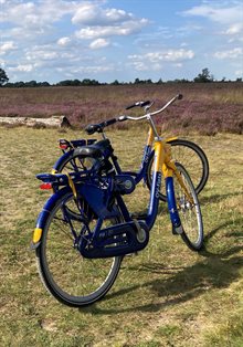 OV-fietsen op Ballooërveld