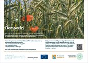 Infomatiebord demoveld Wedbroeken 70034774_vb